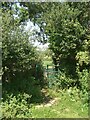 Kissing gate at a field boundary just south of Laleston