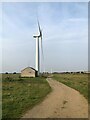 NZ3635 : Trimdon Grange Wind Farm by David Robinson