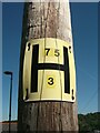 SH5772 : Hydrant sign on telephone pole on Penrallt Road, Bangor by Meirion