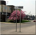 Bilingual direction sign, Brackla Street, Bridgend