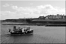 NU2232 : Boat, North Sunderland Harbour, Seahouses by habiloid