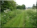 Bridleway at Lower Lapdown Farm