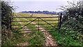 Gateway to sheep field on NE side of Peter Gate SE of Stand End Cottage