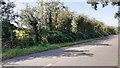 Field gateway on SW side of Wetherby to Scotby Road