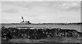 NU2438 : Longstone Lighthouse, The Farne Islands, seen over one of the Blue Caps by habiloid