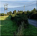 Line spur pole in a field, Gaerllwyd, Monmouthshire