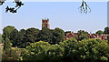 View towards Claverley in Shropshire