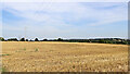 Farmland west of Claverley in Shropshire