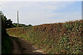 Narrow lane to Chyknell Hall in Shropshire