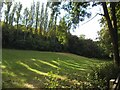 Beck Pasture, Gledhow valley