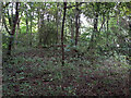 SP1712 : RAF Windrush ancillary structure in Budgehill Wood by Vieve Forward