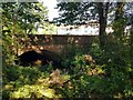 Upton Warren Bridge over the River Salwarpe