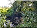 River Salwarpe where outflow of Moors pools enters