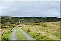 NY8445 : Carriers' Way south of Dodd Reservoir by Trevor Littlewood