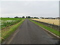 Road approaching Mosston and Carmyllie Moor