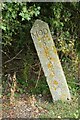 Old Boundary Marker off Langham Lane, Langham