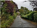 Church Lane, Sidlesham with cottage