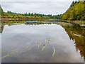 NR8089 : Loch na Bric by Patrick Mackie