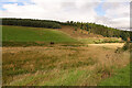 Marshy Land at Ettenbreck