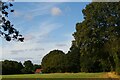 Martlesham: fields north of Waldringfield Road