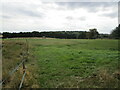 Paddocks near Rufford