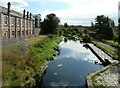 Forth and Clyde Canal at Ruchil Wharf