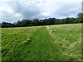 Footpath to Churchsettle Lane