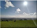 View from Deer Leap on NCN3 near Priddy