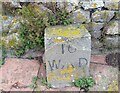 ST2264 : War Department Boundary Stone No16 by Adrian Dust