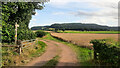 Track and footpath towards East Dean