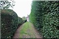 Path from Linnell Close to Linnell Drive