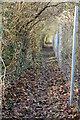 Footpath to Knatts Valley Rd