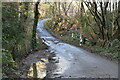 Narrow Sussex lane