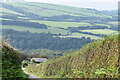 Descending Stony Lane