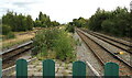 Railway lines north of Wrexham General station