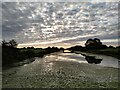 Huntspill River at Dawn from Puriton Road