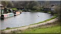 Iccles canal basin