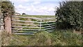 Field gate on NE side of road NW of Wrayside