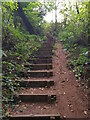 Steps down to Blakeshall Common