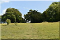 Footpath up Crundale Downs