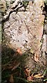 Benchmark on wall at wall junction  NW of entrance to Wrayside