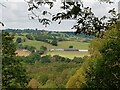 A view from the ridge