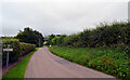 NT9828 : Burnhouse Road, Gallowlaw, Wooler by habiloid