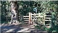 Footpath to Cote House from north side of road north of Brackenbank