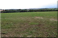 Gazing down on Gazeley  Wood