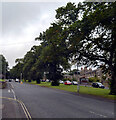 Clayport Street (B6341), Alnwick