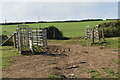 SS4538 : South West Coast Path passing through cattle pen by David Martin