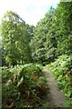 Path on the edge of Knole