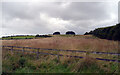 Farmland east of Alnwick