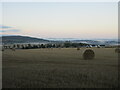 Bales above Scone